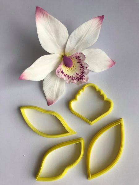 Orchidee Cymbidium set cu 4 piese 